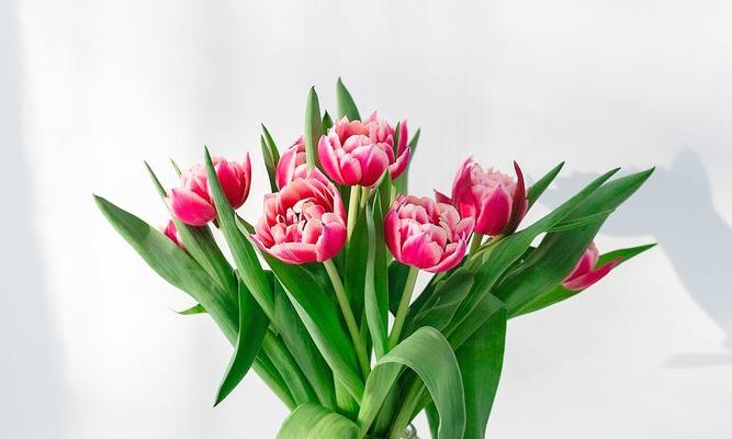 Lad din online blomsterbutik sammensætte din buket